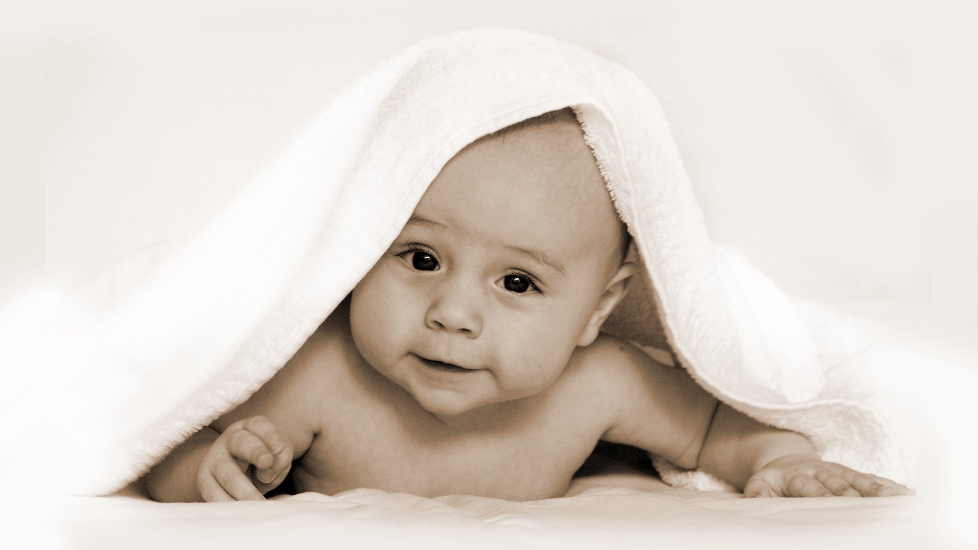 济宁供卵代怀在美国试管婴儿成功率